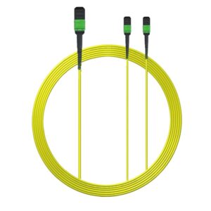 MPO 16 Fibres vers 2x MPO 8 Fibres Multimode OS2/OM3OM4 ,Polarité de Type B LSZH ,Disponible pour 40G/100G/200G/400G/800G/…