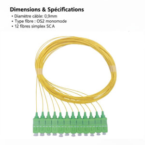 Pigtail à Fibre Optique à Code Jaune 12 Fibres SC/APC Monomode sans Gaine (Ref:4219)