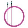Elfcam® – Cable de Fibra Óptica MPO Hembra a MPO Hembra, Multimodo OM4, compatible con Nvidia/Mellanox/Arista/Cisco/HPE/Juniper/Marvell, Tipo B, Morado (8 Fibras/12 Fibras/16 Fibras) (REF: 18672)