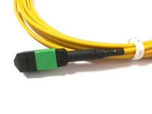 Elfcam® – Câble Fibre Optique 12 Fibres MPO/APC Femelle vers MPO/APC Femelle, Polarité de Type B, Monomode OS2 pour …