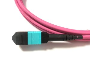 Elfcam® – Câble Fibre Optique MPO Femelle à MPO Femelle, Multimode OM4, compatible avec Nvidia/Mellanox/Arista/Cisco…