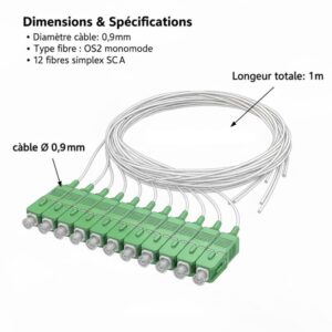 Pigtail à Fibre Optique à Code Blanc 12 Fibres SC/APC Monomode sans Gaine (Ref:4216)