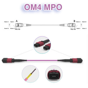 Elfcam® – Câble Fibre Optique MPO Femelle à MPO Femelle, Multimode OM4, compatible avec Nvidia/Mellanox/Arista/Cisco…