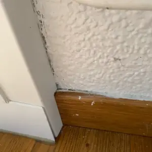 Câble Fibre Optique SC/APC à SC/APC Invisible/Transparent pour Orange SFR Bouygues, Fibre Optique Monomode 125µm OS2, Gain…