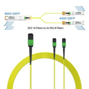 MPO 16 Fibres vers 2x MPO 8 Fibres Multimode OS2/OM3OM4 ,Polarité de Type B LSZH ,Disponible pour 40G/100G/200G/400G/800G/…