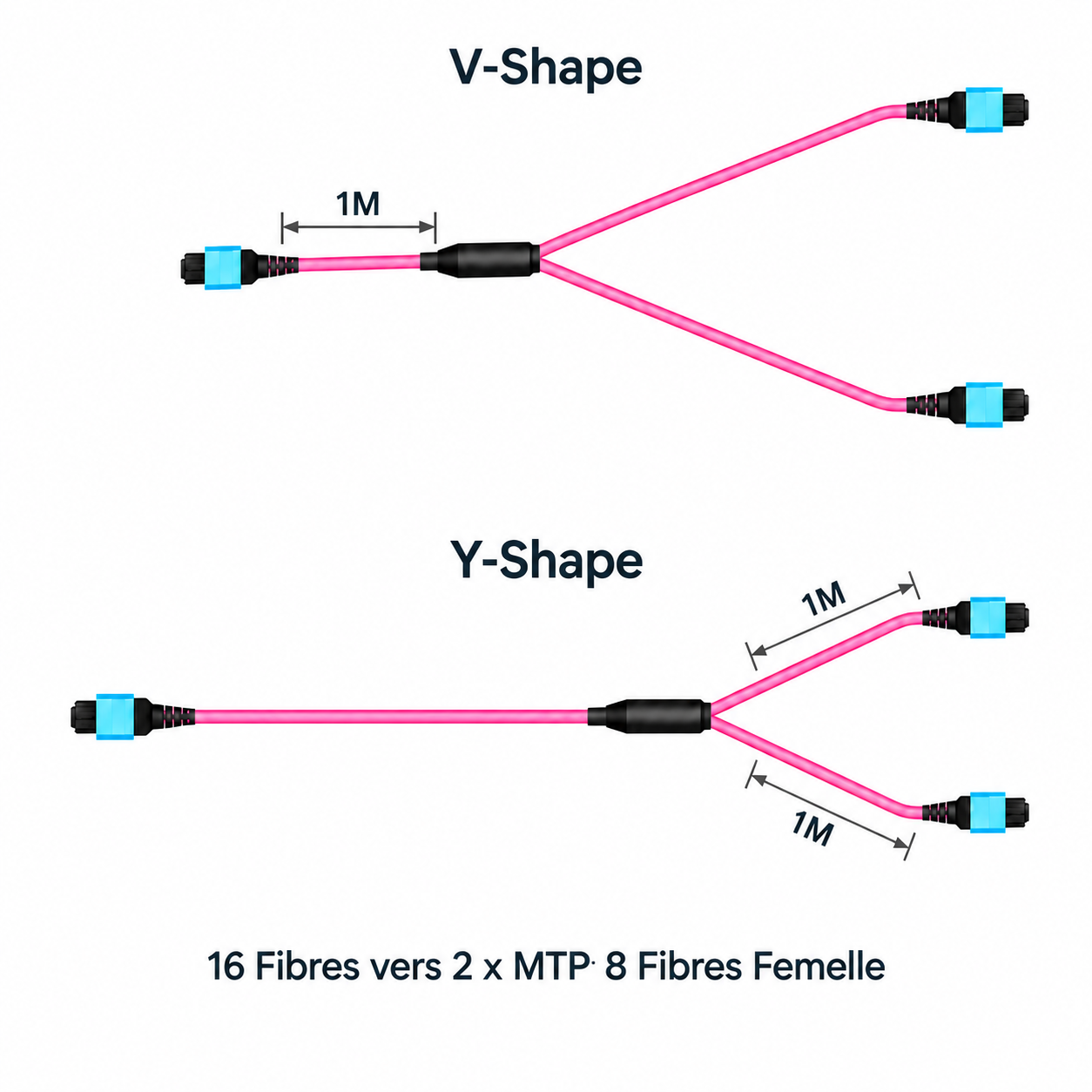 Elfcam - Câble Breakout MPO/APC V/Y-Shape 16F vers 2 × MPO/APC 8F Femelle, 16 Fibres, Multimode OM4, Polarité Type B, LSZH, 0,35 dB Max, pour 40G/100G/200G/400G/800G – Image 2