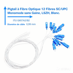Elfcam – Pigtail à Fibre Optique 12 Fibres Monomode Simplex SC/UPC 9/125um OS2, Blanc