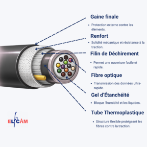 Elfcam® – Câble Structure Libre 250µm Fibre Optique Multimode OM3 – MV – LSZH (REF:13113)